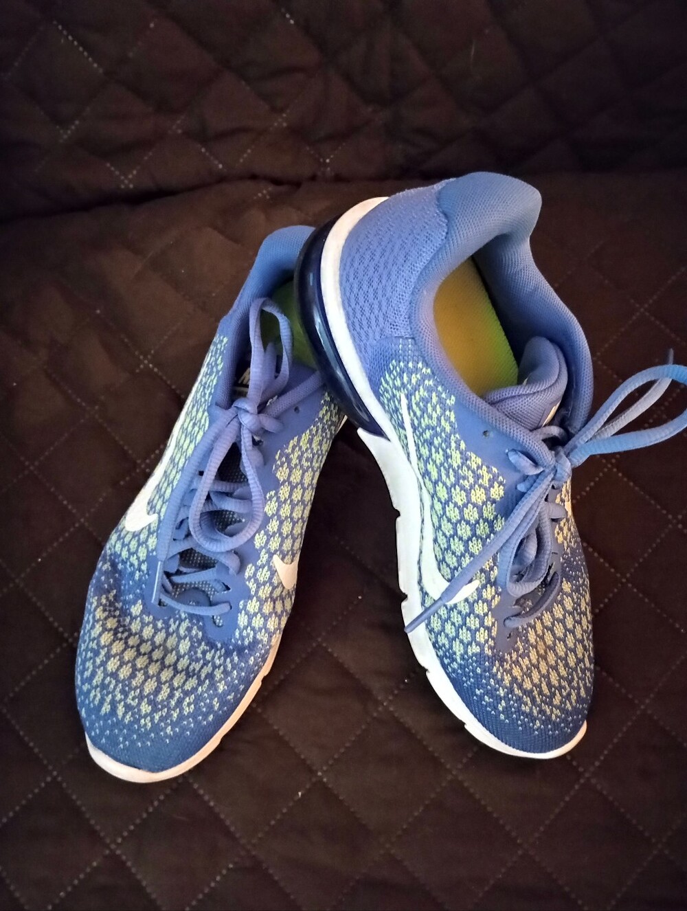 Women's Nike Air Max Sequent 2 Running Shoes